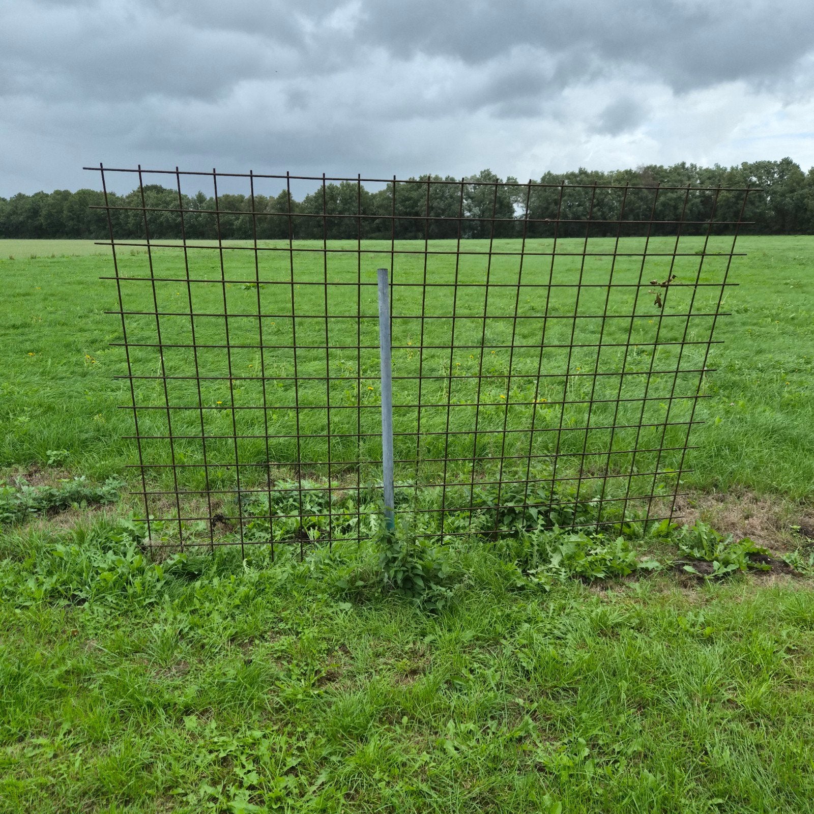 Wapeningsstaal/betongaas, Ophalen, Gebruikt, IJzer, Gaashekwerk