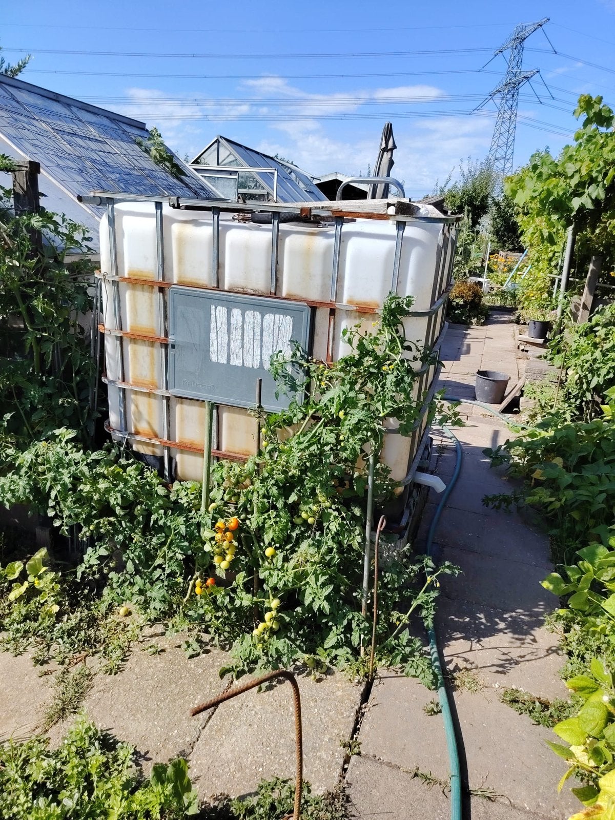 Grote IBC-container voor wateropslag in tuin, Ophalen, Gebruikt
