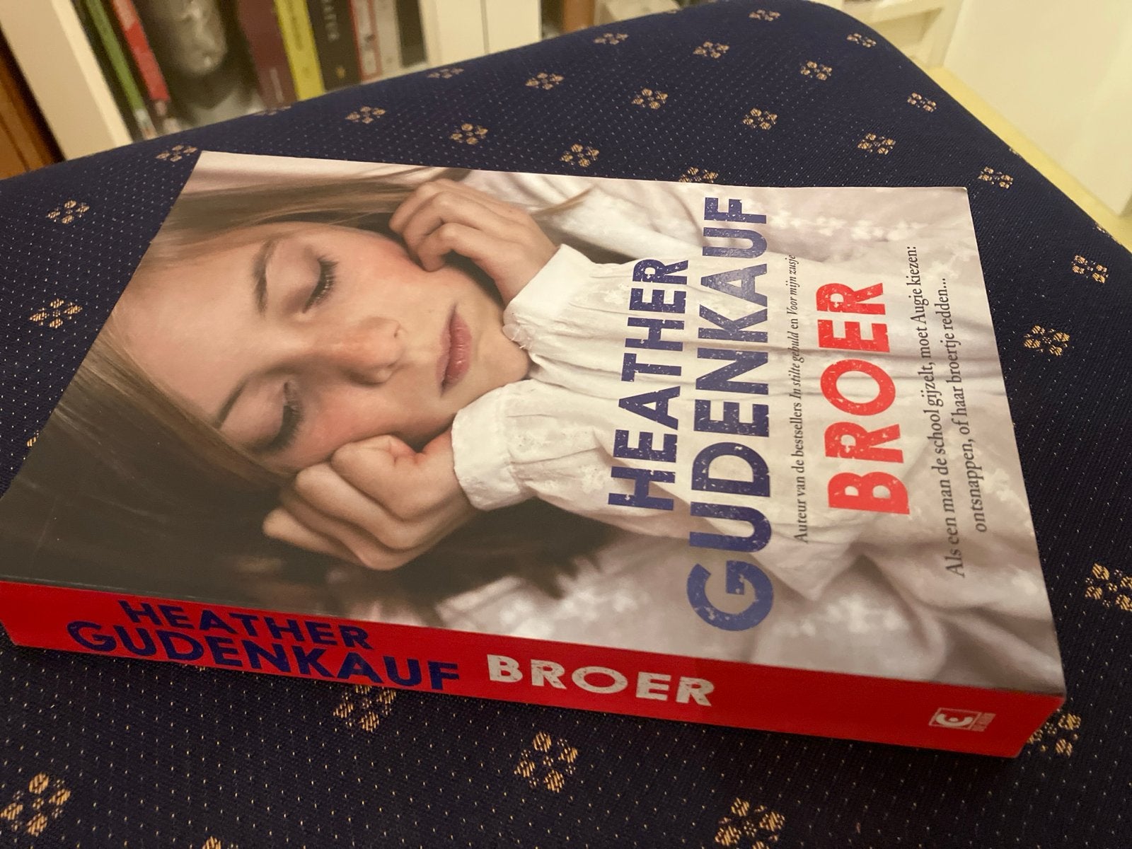 Broer - Heather Gudenkauf (Thriller), Ophalen of Verzenden, Gelezen, Nederland