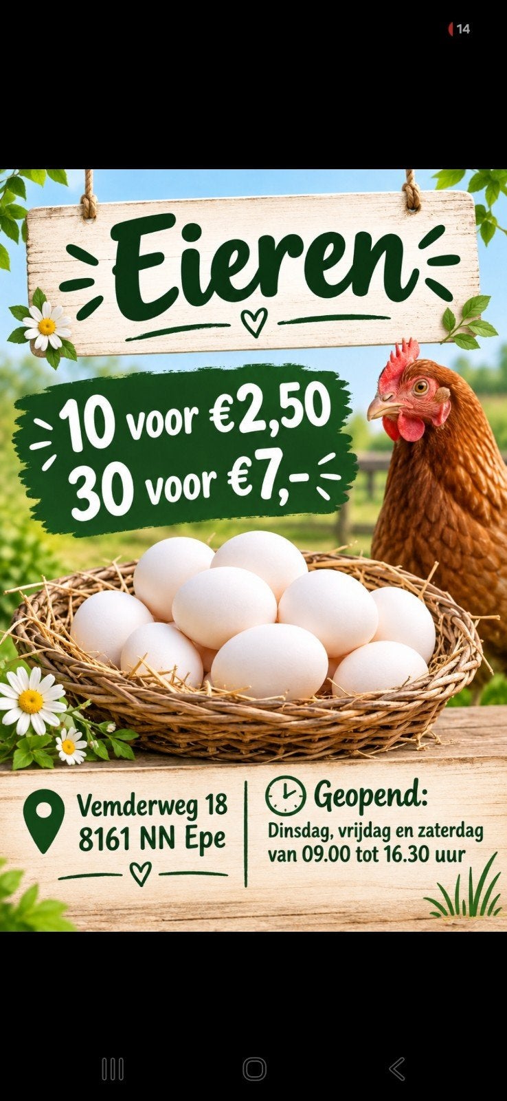 Verse scharreleieren - 10 voor €2,50 of 30 voor €7,-, Diversen, Ophalen of Verzenden