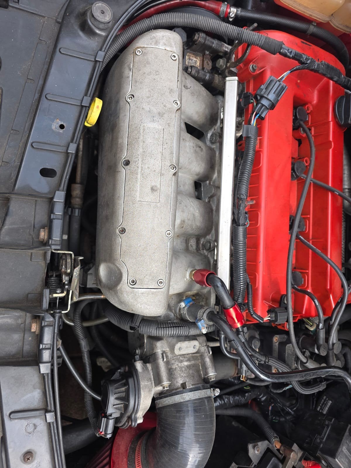 Crosworth Replica Inlaat ford Fiesta ST150, Auto-onderdelen, Ophalen of Verzenden, Nieuw, Ford