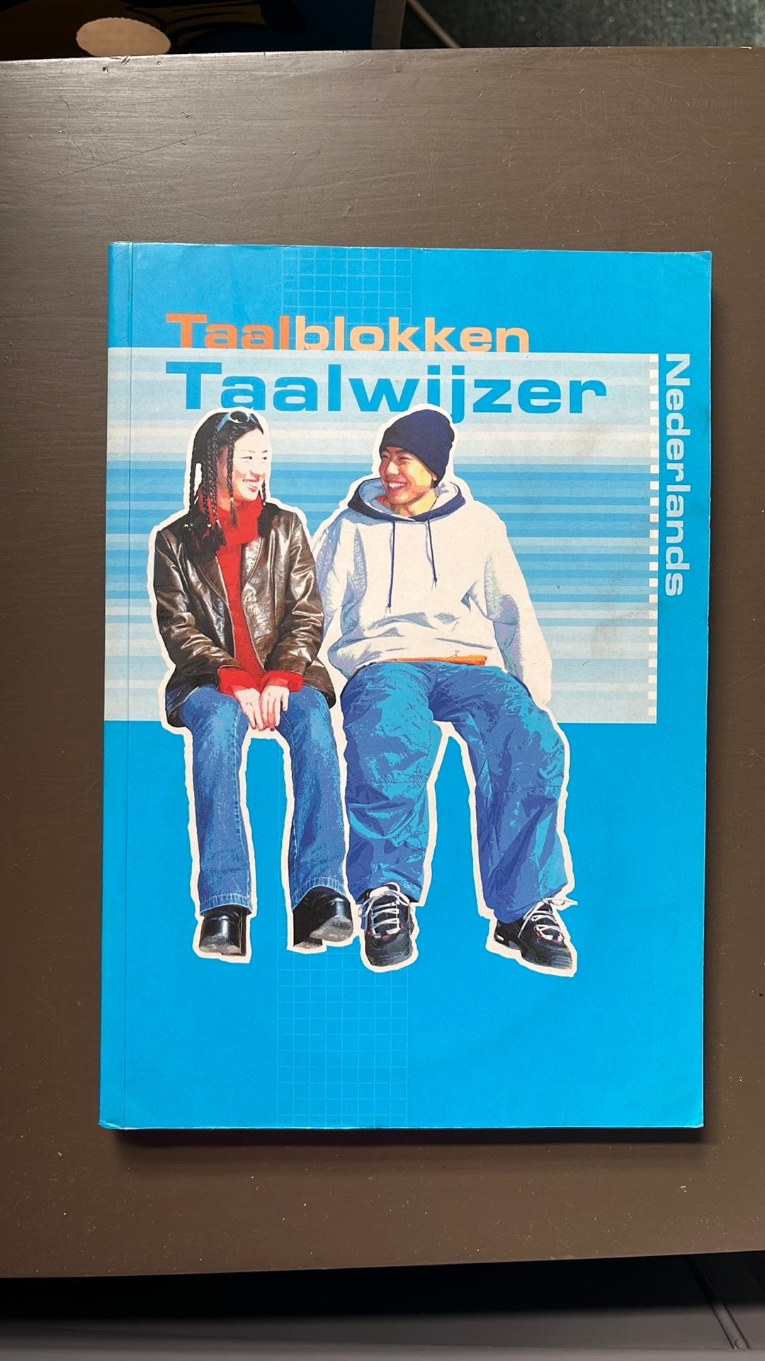 Taalblokken Nederlands, Verzenden, Zo goed als nieuw, Overige niveaus, Nederlands
