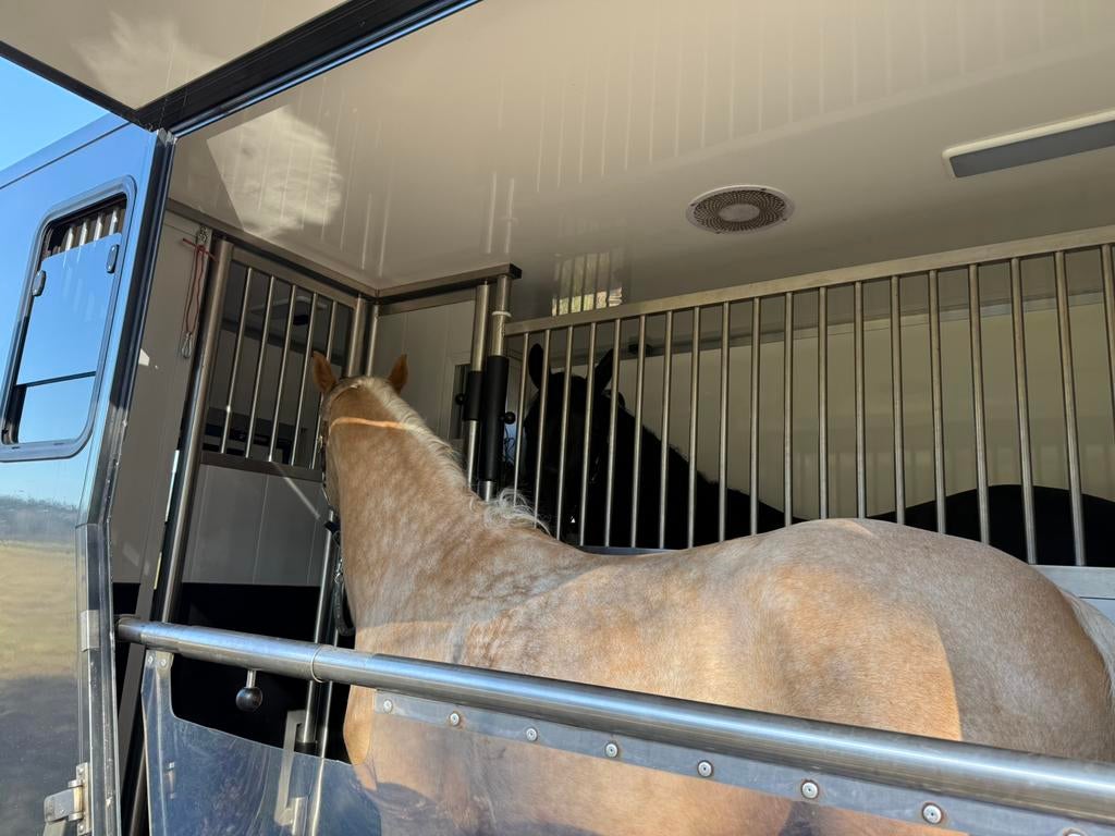 Paarden taxi - huren - transport, Ophalen of Verzenden, Nieuw