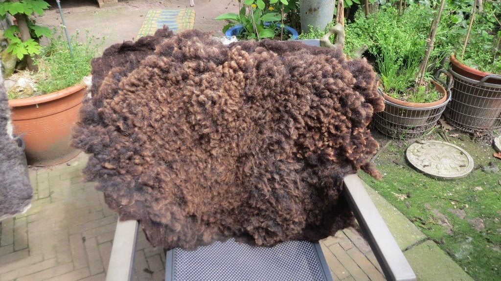 Zwartbles schaap, hand gevilte vacht, 80x55cm, 100% wol, 55 cm, Verzenden, Nieuw, 80 cm
