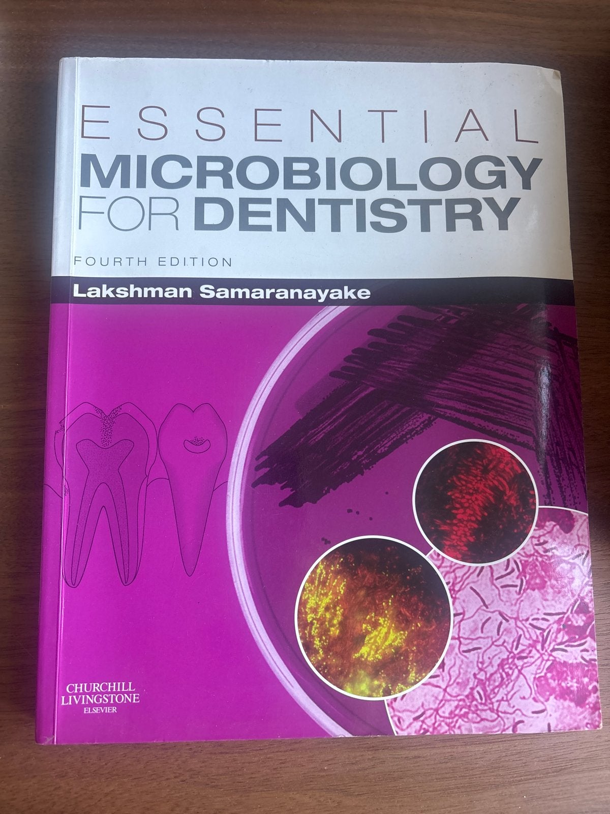 Essential Microbiology for Dentistry - 4e editie, Ophalen of Verzenden, Beta, Zo goed als nieuw, HBO