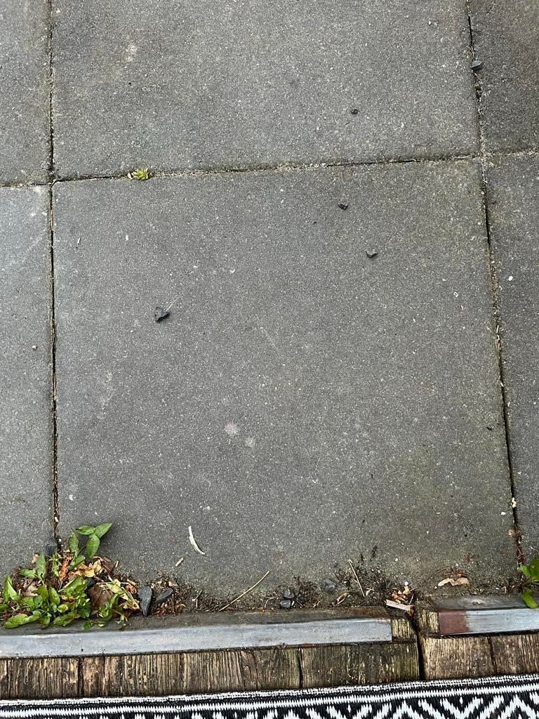 120 stoeptegels 50x50cm (30m2) incl. opsluitbandjes, Tuin en Terras, Tegels en Klinkers, Ophalen, Gebruikt, 10 m² of meer, Beton