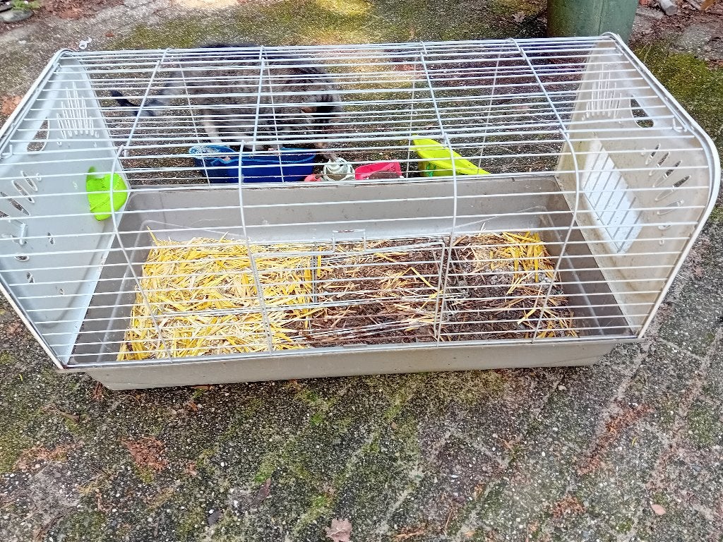 Konijnenhok, Dieren en Toebehoren, Knaagdieren en Konijnen | Hokken en Kooien, Konijn, Zo goed als nieuw, Hok, 75 tot 110 cm