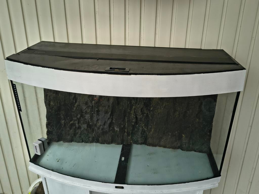 180 liter vision aquarium met toebehoren, Overige soorten