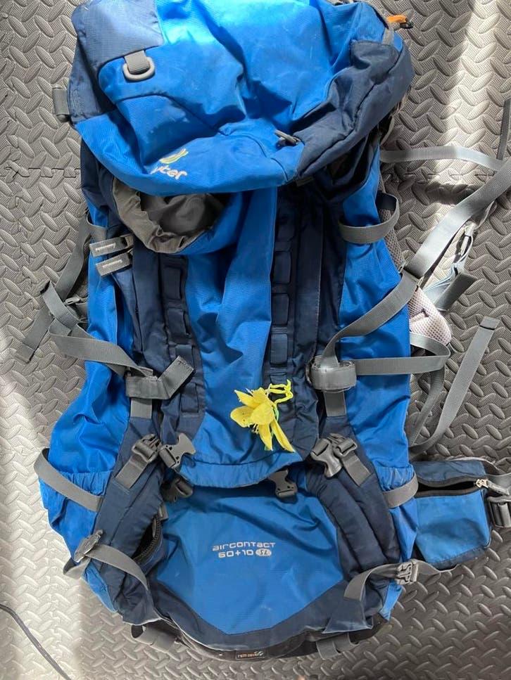 Deuter Aircontact 60 + 10 SL Trekkingrugzak, Gebruikt, 25 tot 40 cm, Trekking, 60 cm of meer