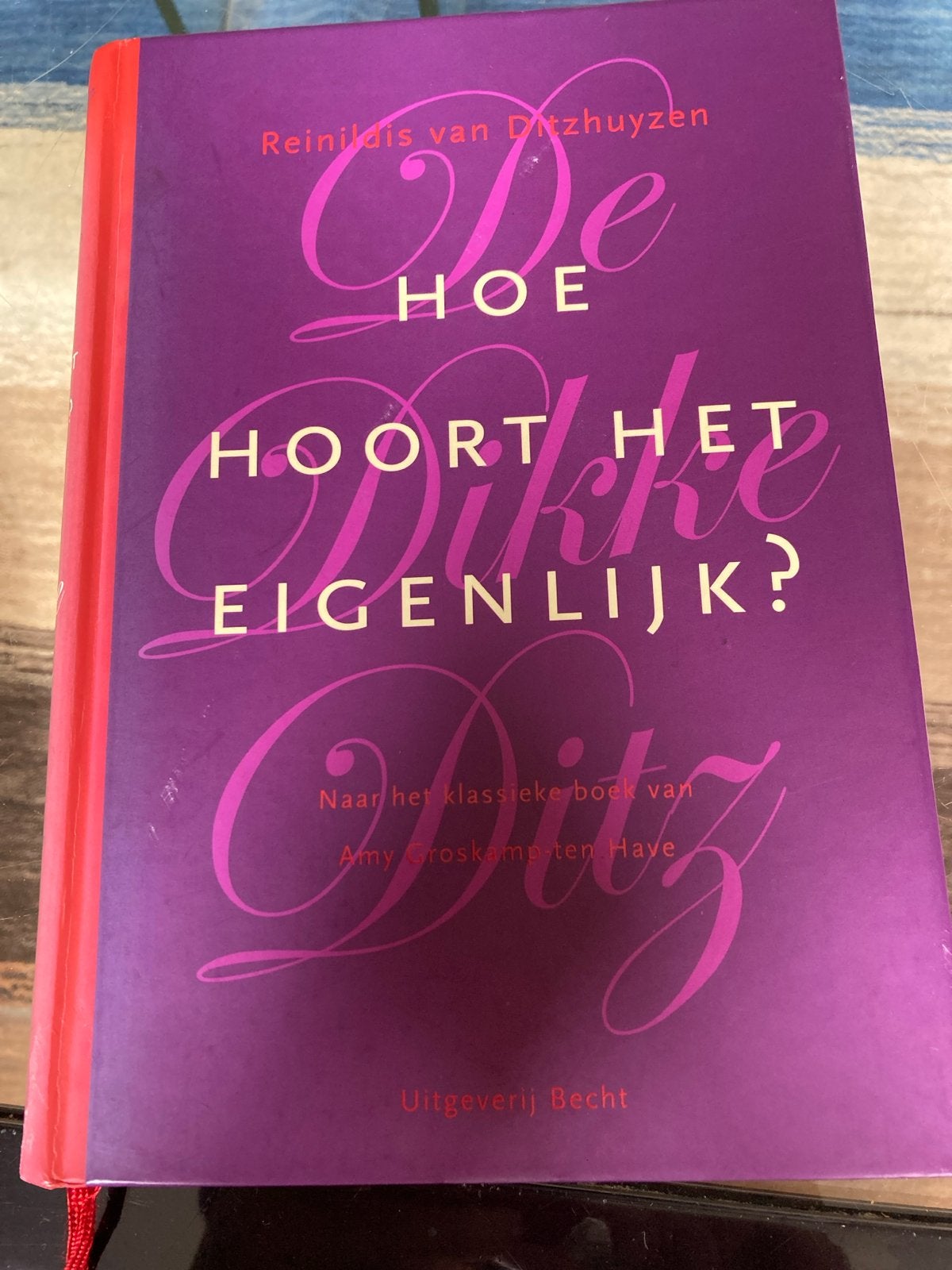 De Hoe Hoort Het Eigenlijk? - Reinildis van Ditzhuyzen, Ophalen of Verzenden, Zo goed als nieuw, Nederland