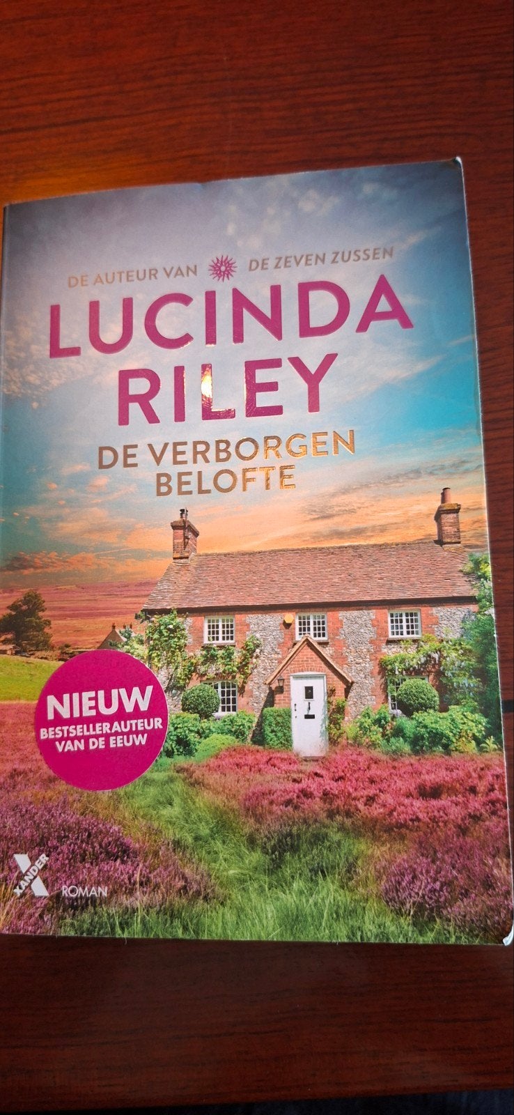 Lucinda Riley - de Verborgen Belofte, Ophalen of Verzenden, Gelezen