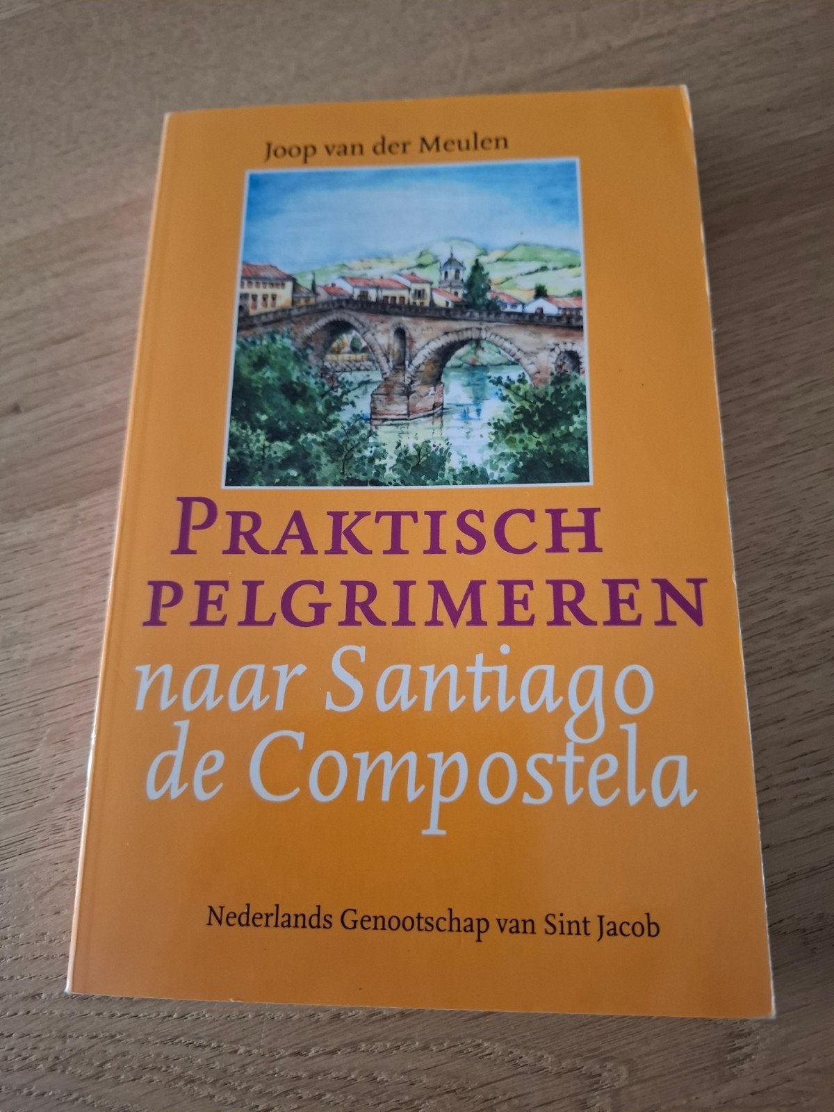 Praktisch Pelgrimeren naar Santiago de Compostela, Joop van der Meulen, Europa, Ophalen of Verzenden, Reisgids of -boek