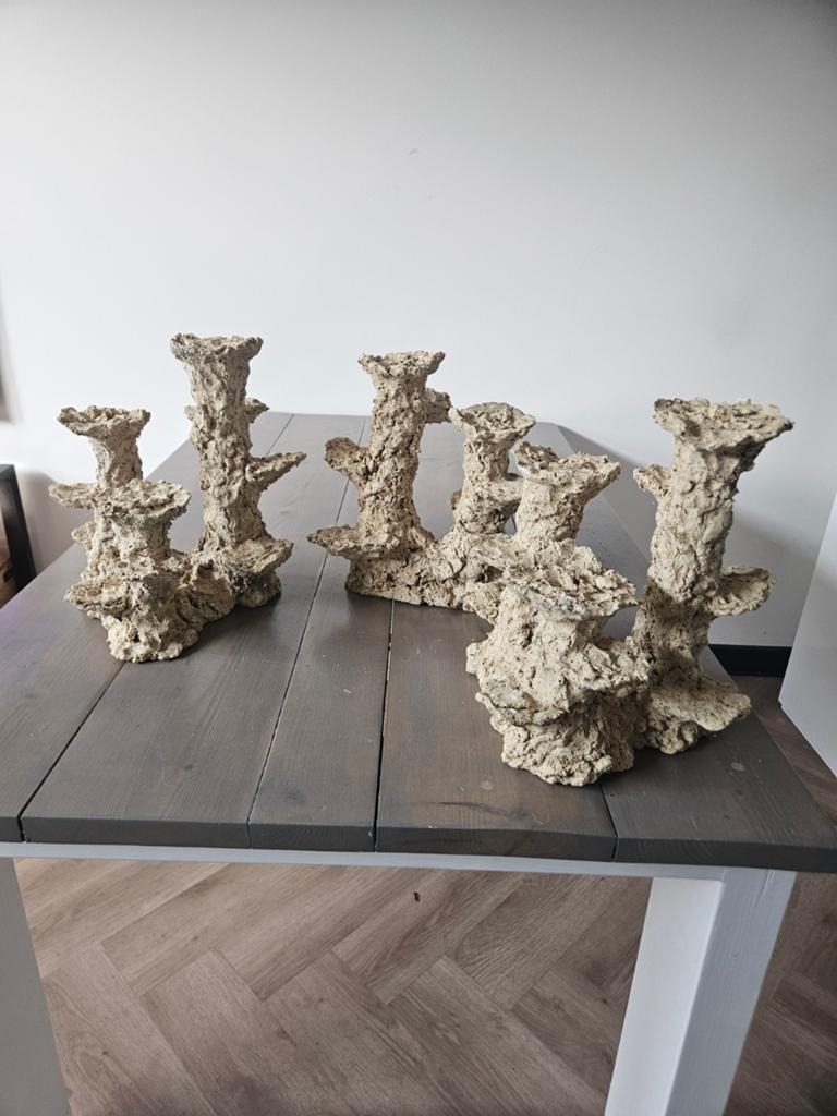 Arka rif pilaren te koop, Dieren en Toebehoren, Vissen | Aquaria en Toebehoren, Ophalen of Verzenden