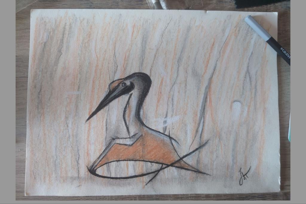 Potlood tekening van dino vogel - pterosaurus, Ophalen of Verzenden