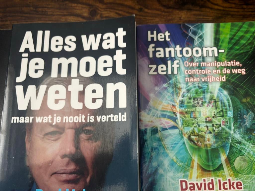 Het fantoomzelf - David Icke, Boeken, Ophalen of Verzenden, Gelezen, Spiritualiteit algemeen, Overige typen