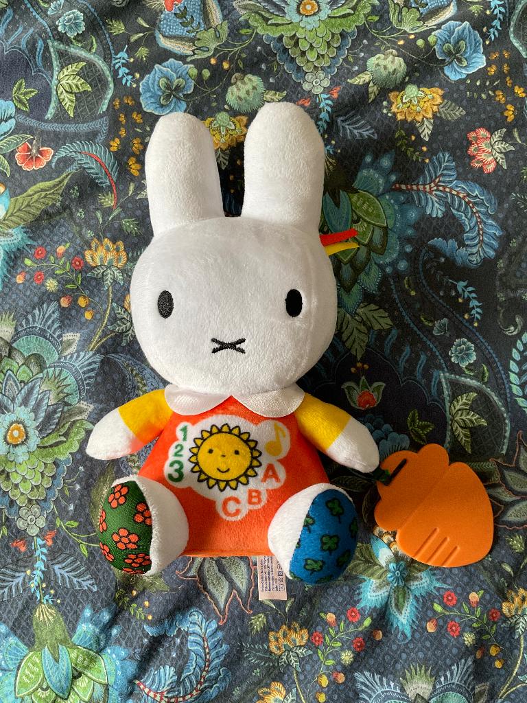 Nijntje activiteitenknuffel met licht en geluid., Ophalen, Zo goed als nieuw, Overige typen, Met licht
