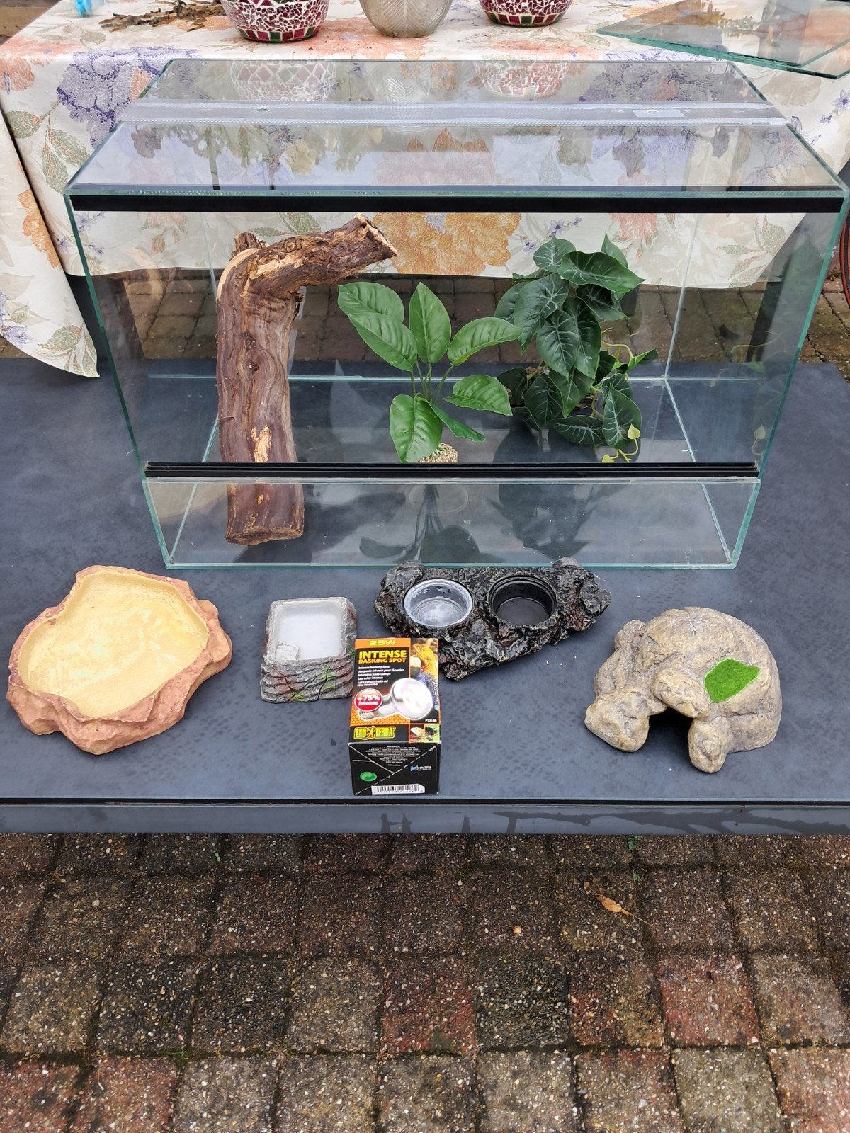terrarium met benodigdheden 55cmx35cmx35cm, Ophalen, Gebruikt, Terrarium of Paludarium