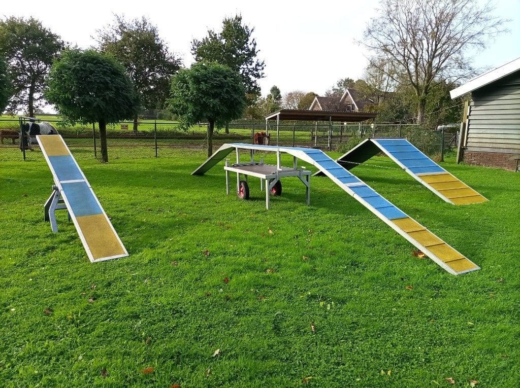 Agility behendigheidsset hond – kattenloop, wip, A-schutting, Overige merken, Ophalen, Gebruikt, Overige typen