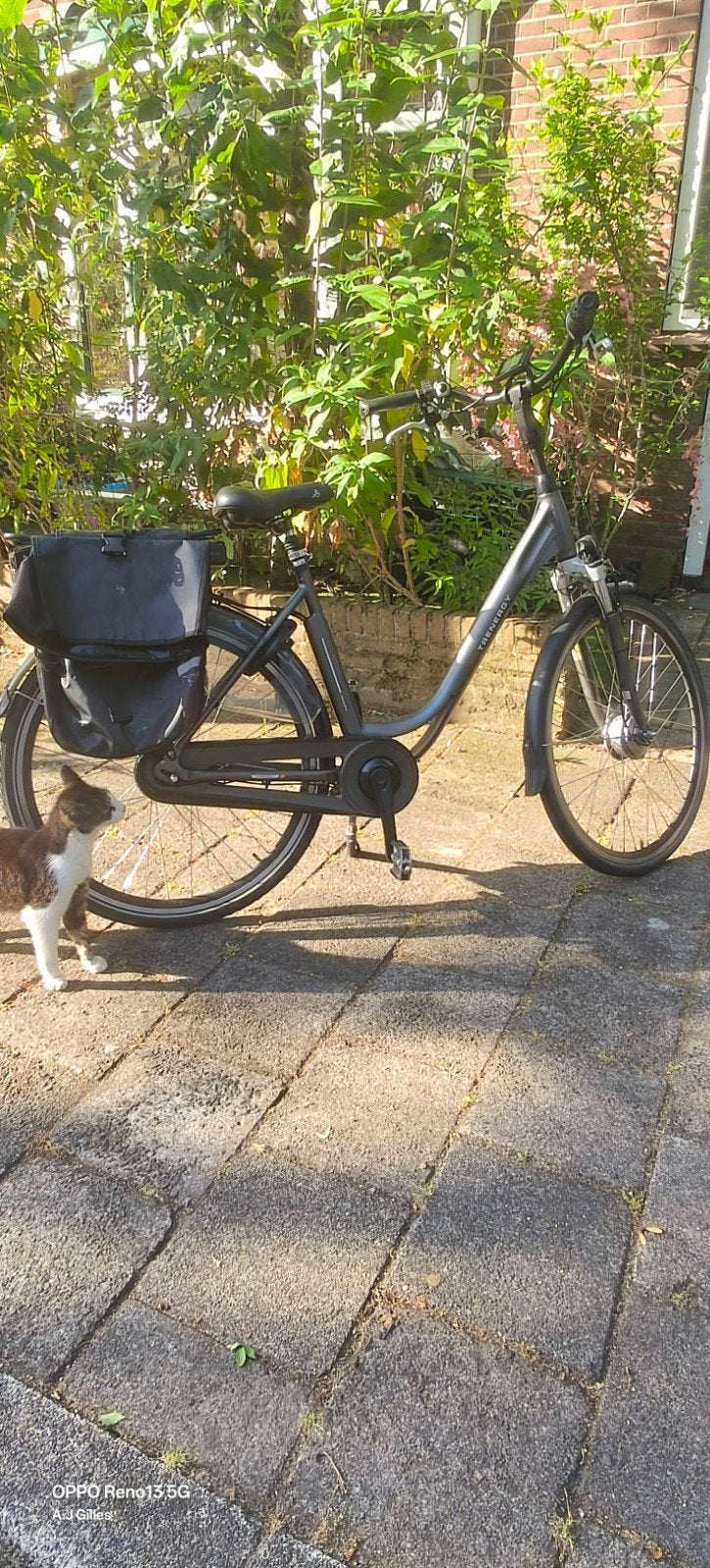 Trenergy E relex pro damesfiets met lage instap, Overige merken, Velgrem, Versnellingen, Ophalen of Verzenden