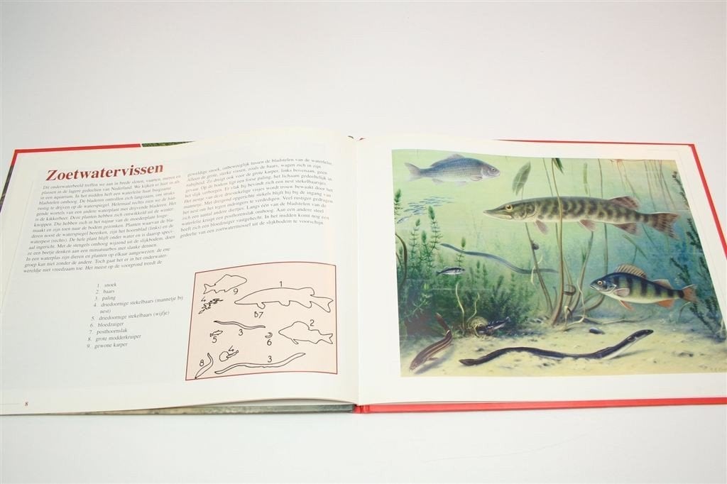 De Schoolplaat — In Ons Land — M.A. Koekkoek — Natuur, Boeken, Ophalen of Verzenden, Zo goed als nieuw