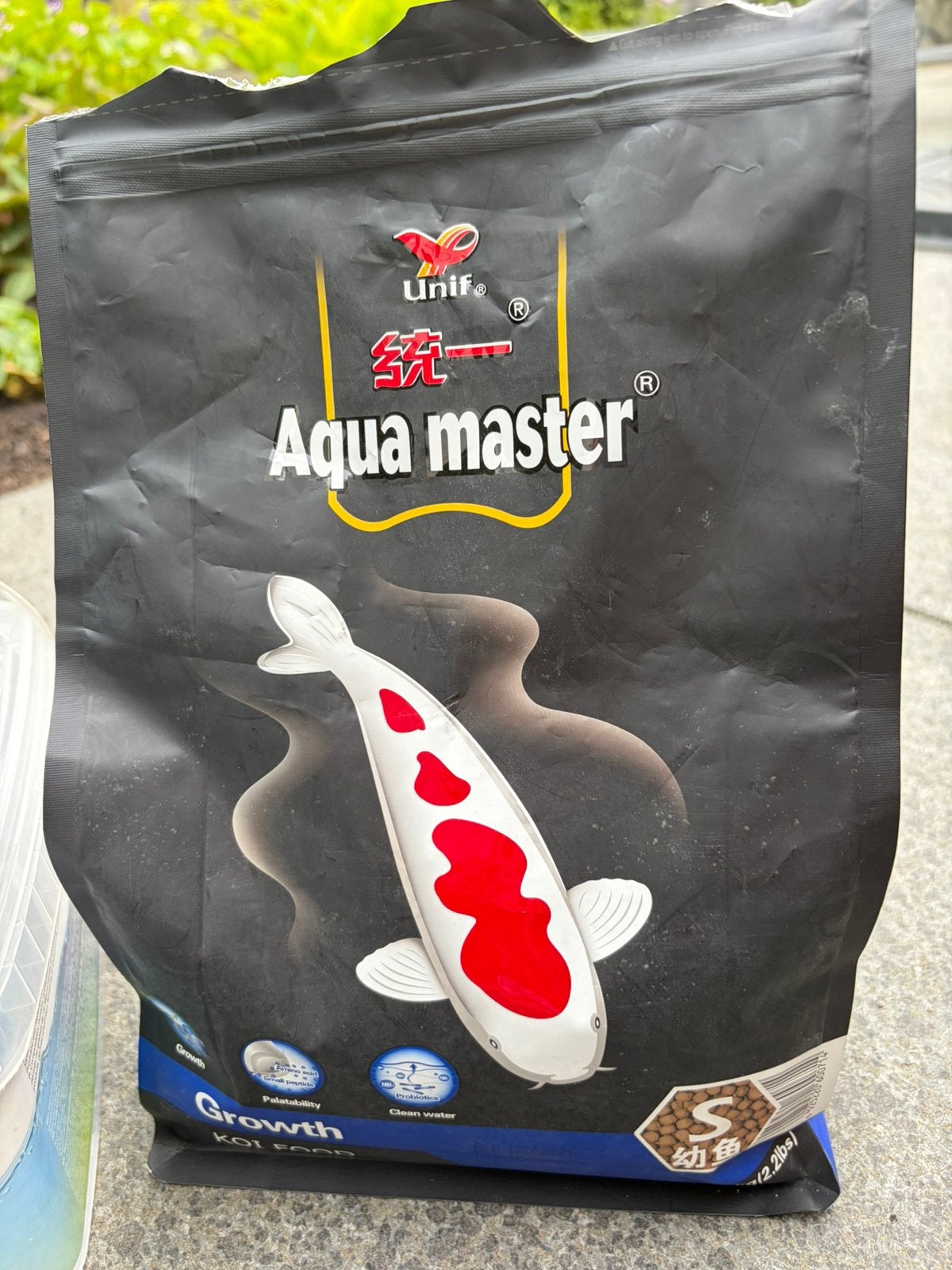 Visvoer, Karper of Koi