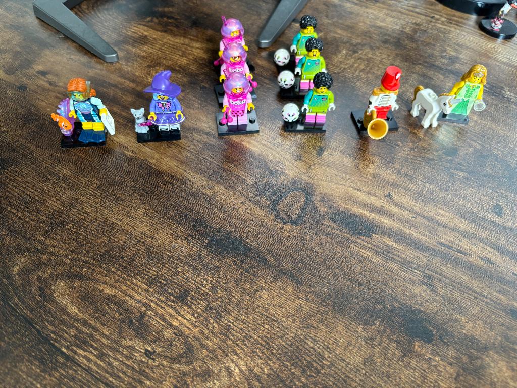 Lego serie 29, Ophalen of Verzenden, Nieuw