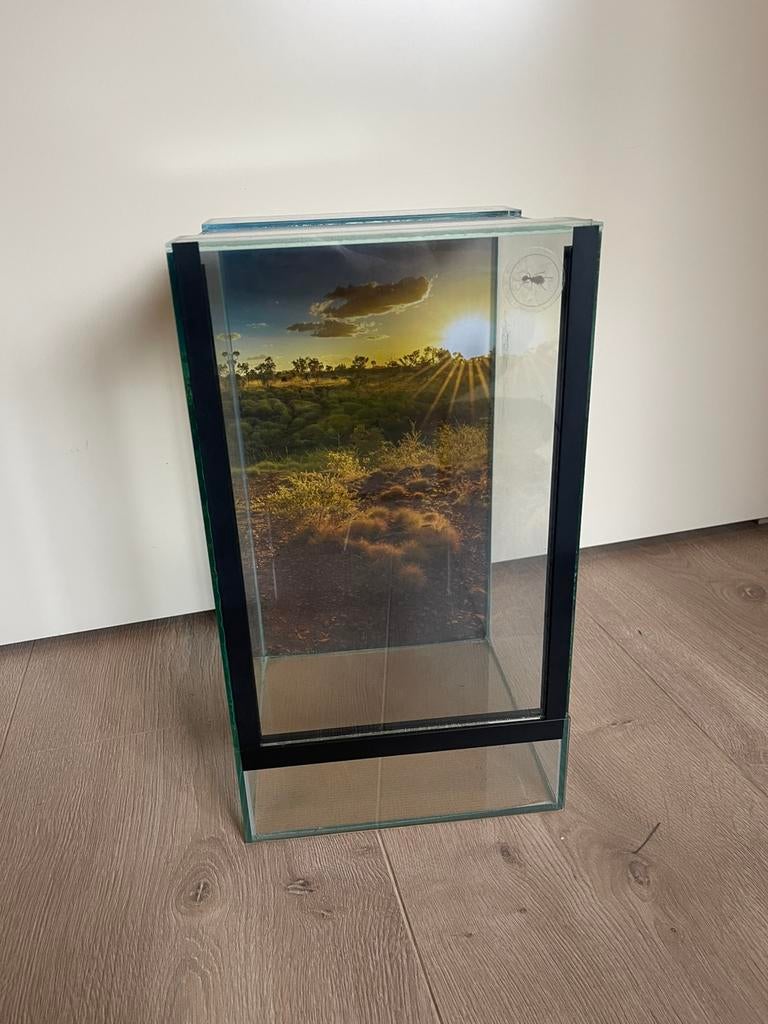 Terrarium 20x20x35 voor wandelende takken, Dieren en Toebehoren, Reptielen en Amfibieën | Toebehoren, Ophalen, Zo goed als nieuw