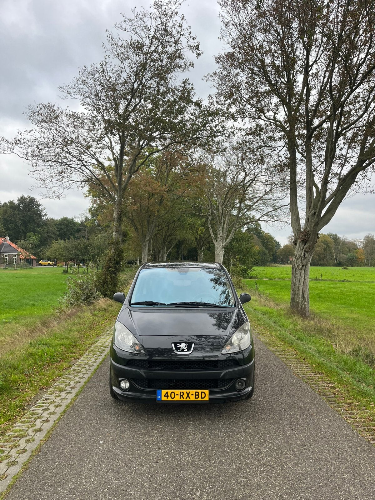 Peugeot 1007 1.6 16V Sporty 2-TRONIC 2005 Zwart, Auto's, 4 stoelen, Zwart, 1587 cc, 645 kg
