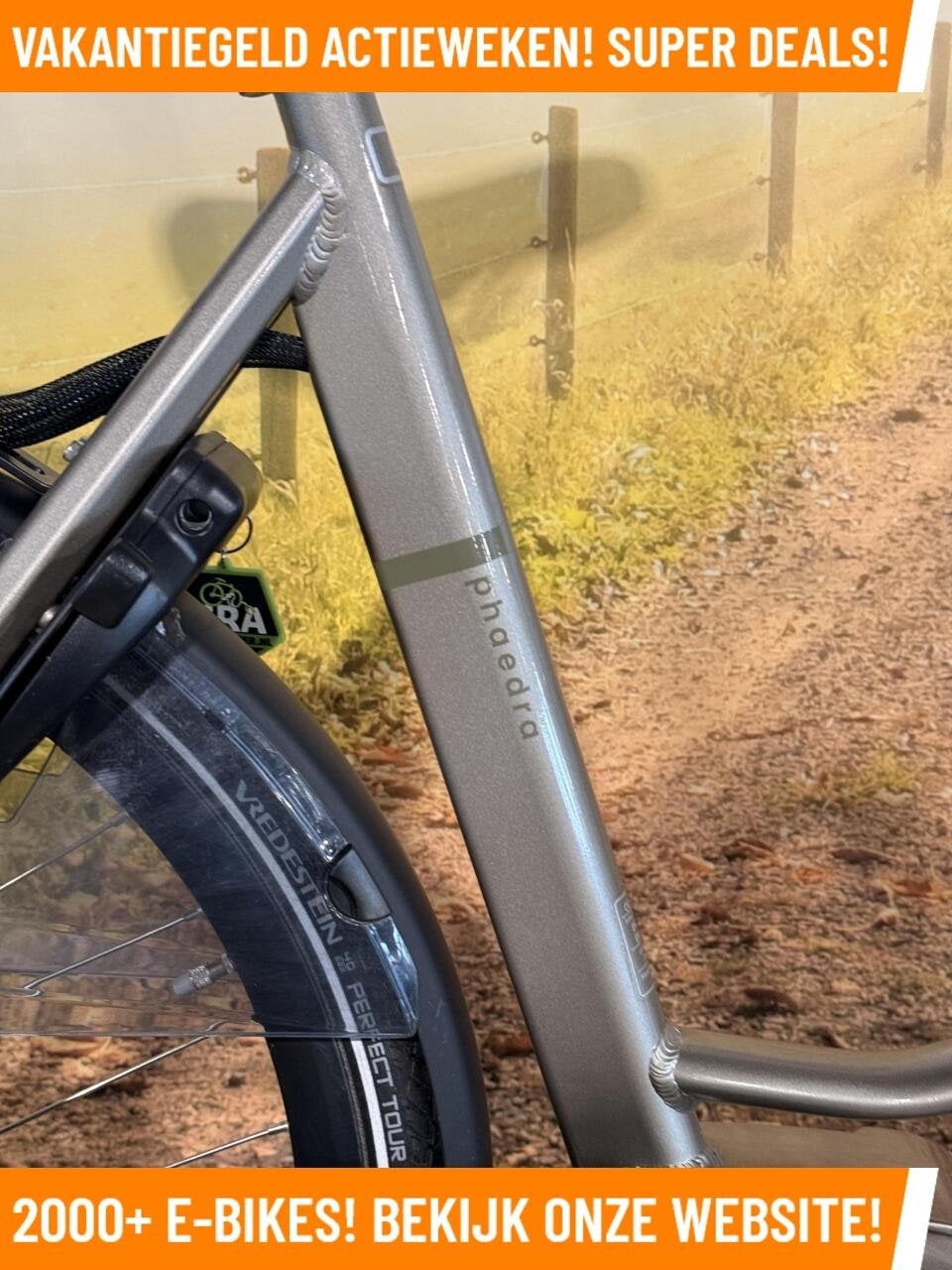 Van Dijck Phaedra Elektrische fiets met Bafang motor ebikes!, Overige merken