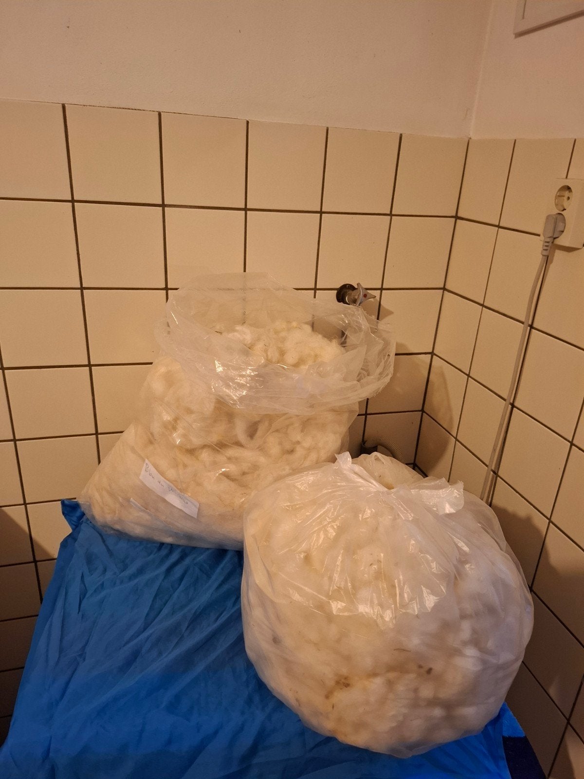Zak gewassen wol  Bleu du Maine schaap 800gr, Ophalen of Verzenden, Nieuw, Spinwol