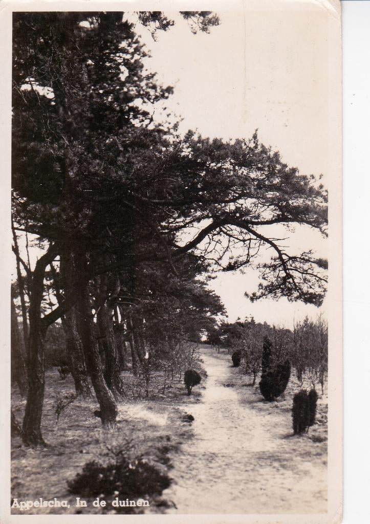 07574 Appelscha - In de duinen - gel. 1948, Verzamelen, Ansichtkaarten | Nederland, Gelopen, Friesland, 1940 tot 1960, Verzenden