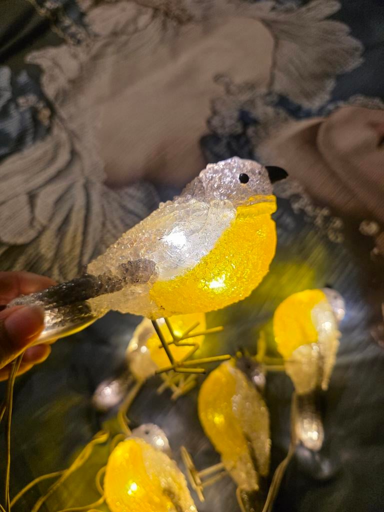Verlichte vogeltjes, Kunststof, Minder dan 50 watt, Nieuw, Ophalen of Verzenden