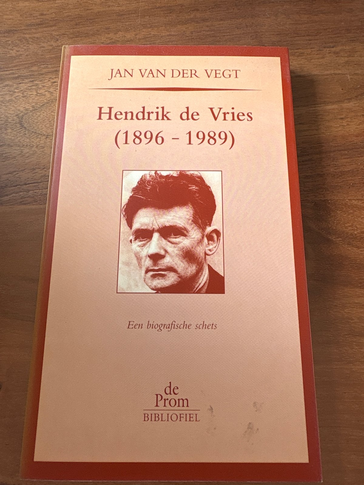Hendrik de Vries (1896-1989) - Een biografische schets, Ophalen of Verzenden, Gelezen, Kunst en Cultuur