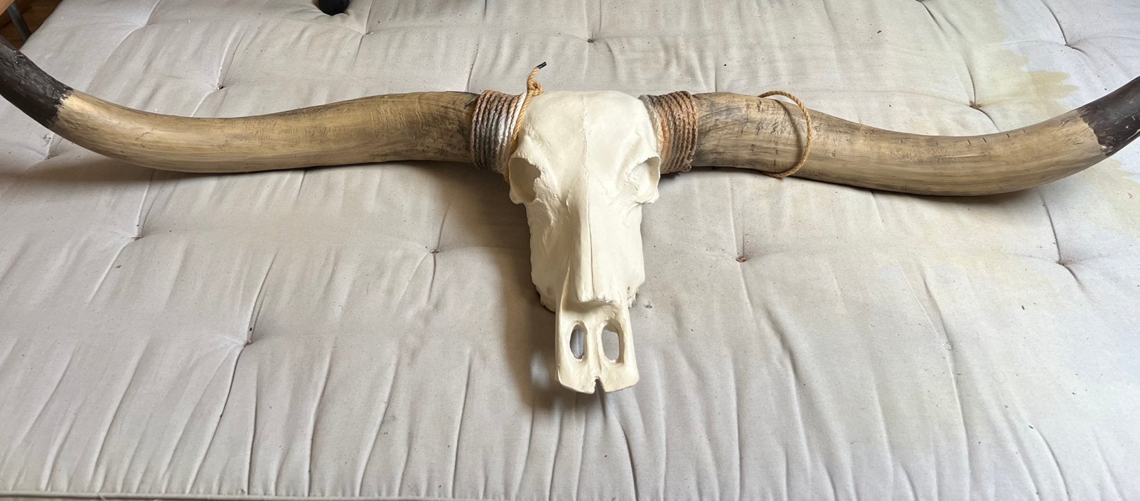 Kop met hoorns, Ophalen, Zo goed als nieuw, Hert, Gewei of Kop