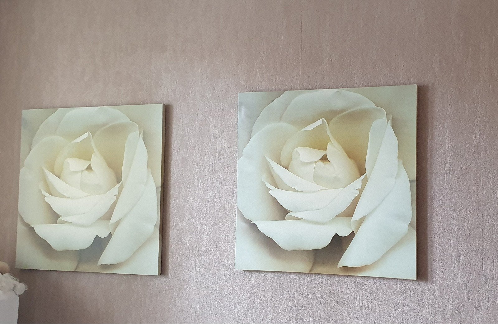 2 schilderijen witte rozen 56x56 cm, Ophalen of Verzenden