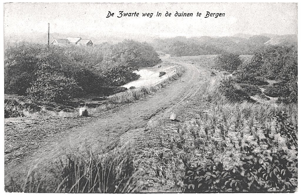 967640	Zwarte weg i d Duinen te Bergen NH	NH	Niet gelopen, Ophalen of Verzenden, Voor 1920, Gelopen, Noord-Holland