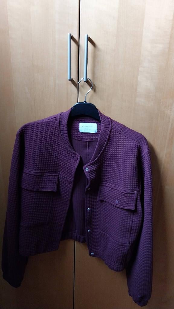 Kort jasje, Kleding | Dames, Ophalen, Overige kleuren, Maat 46/48 (XL) of groter, Nieuw