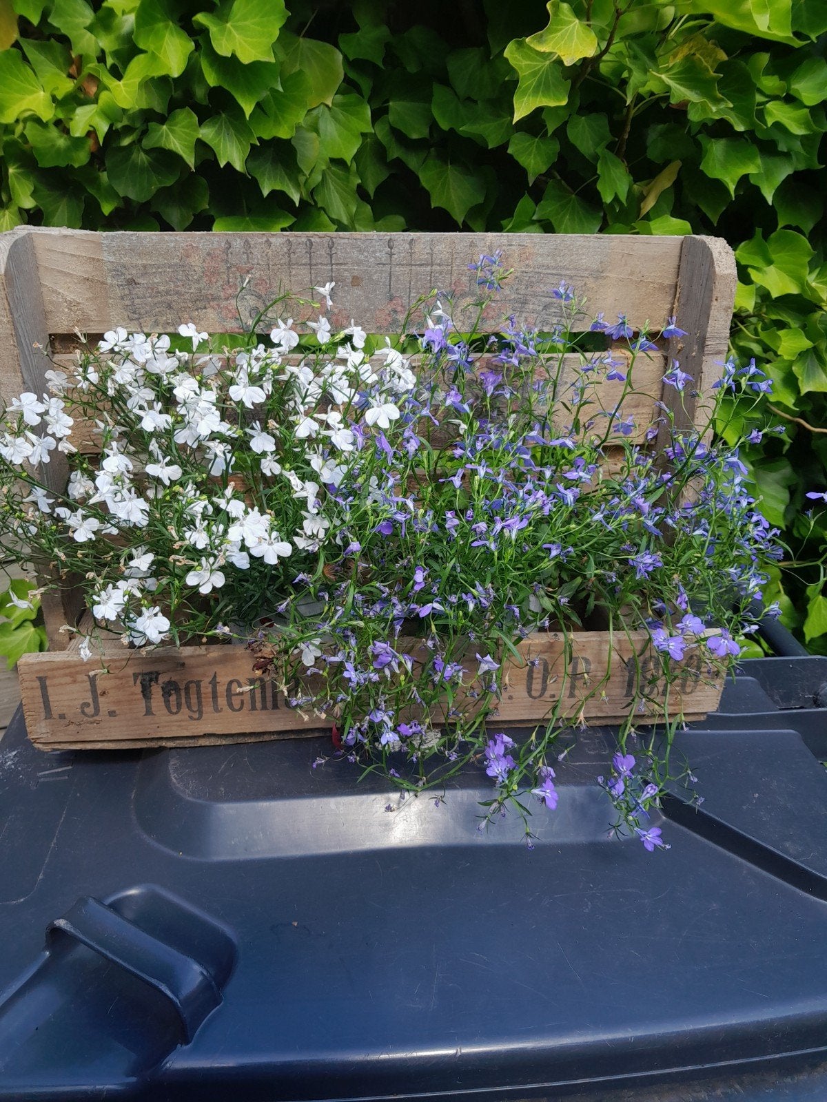 Vintage Houten Bloembak met Decoratie, Gebruikt, Minder dan 30 cm, Ophalen of Verzenden, 60 tot 100 cm