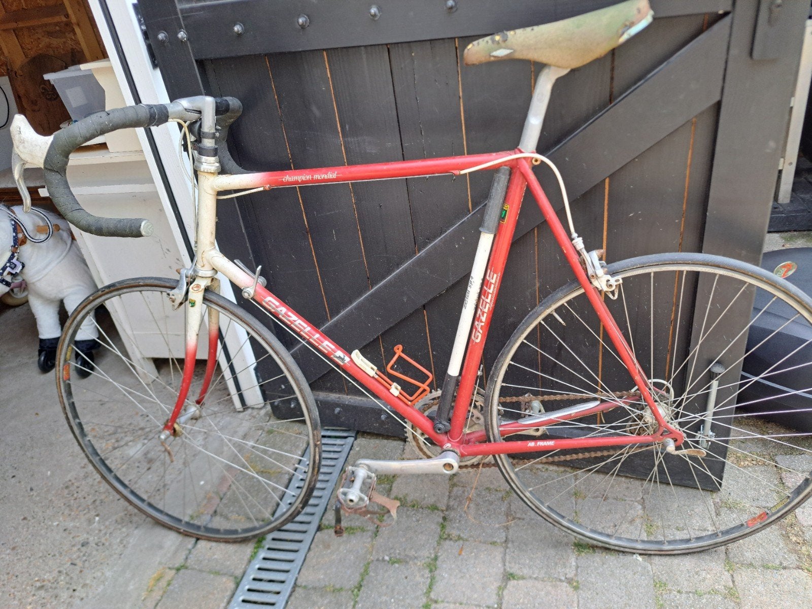 Gazelle Champion Mondial AB, 55 tot 59 cm, Ophalen, Gazelle