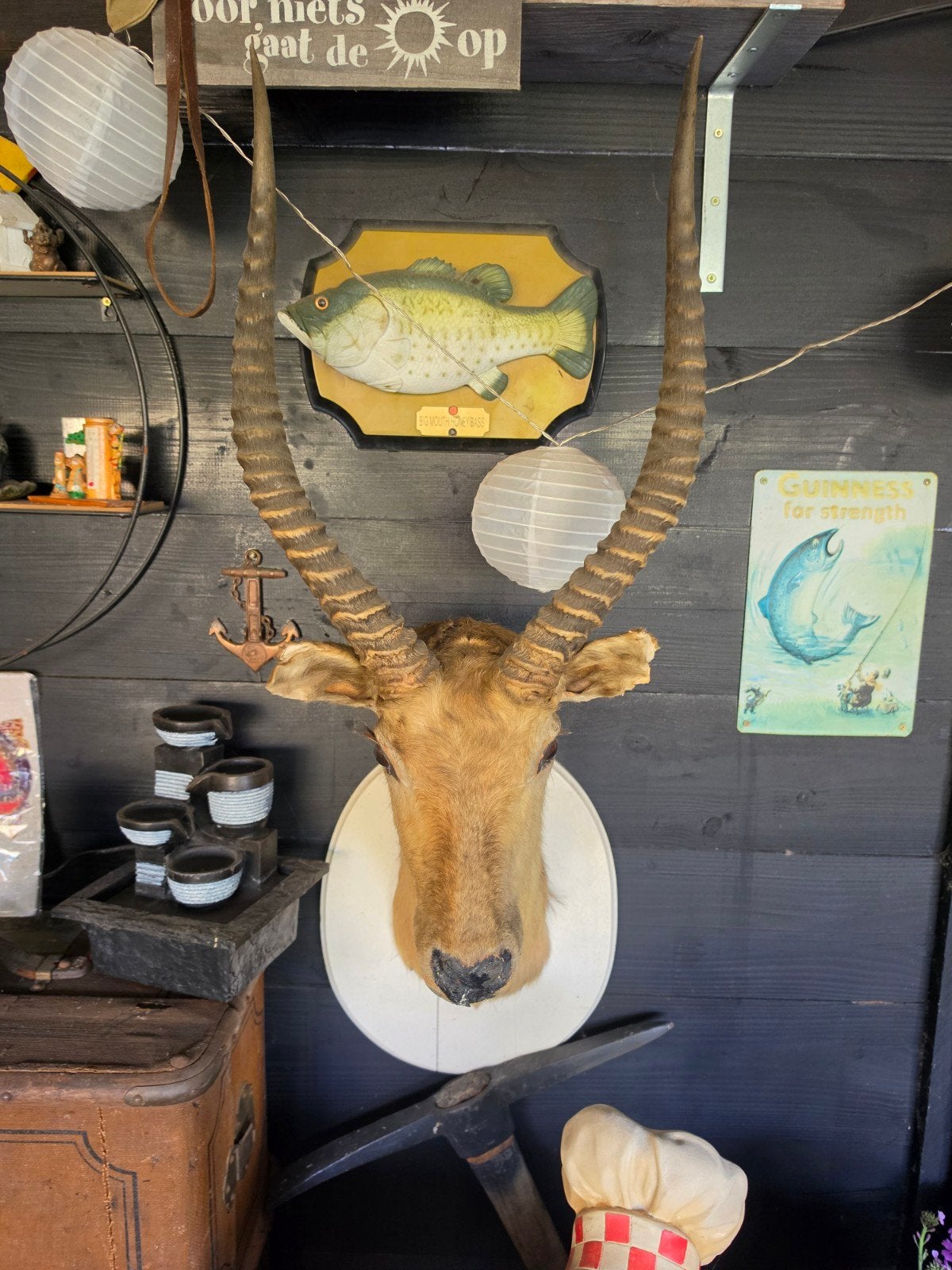 Opgezette Antilope Kop - Unieke Wanddecoratie, Ophalen of Verzenden