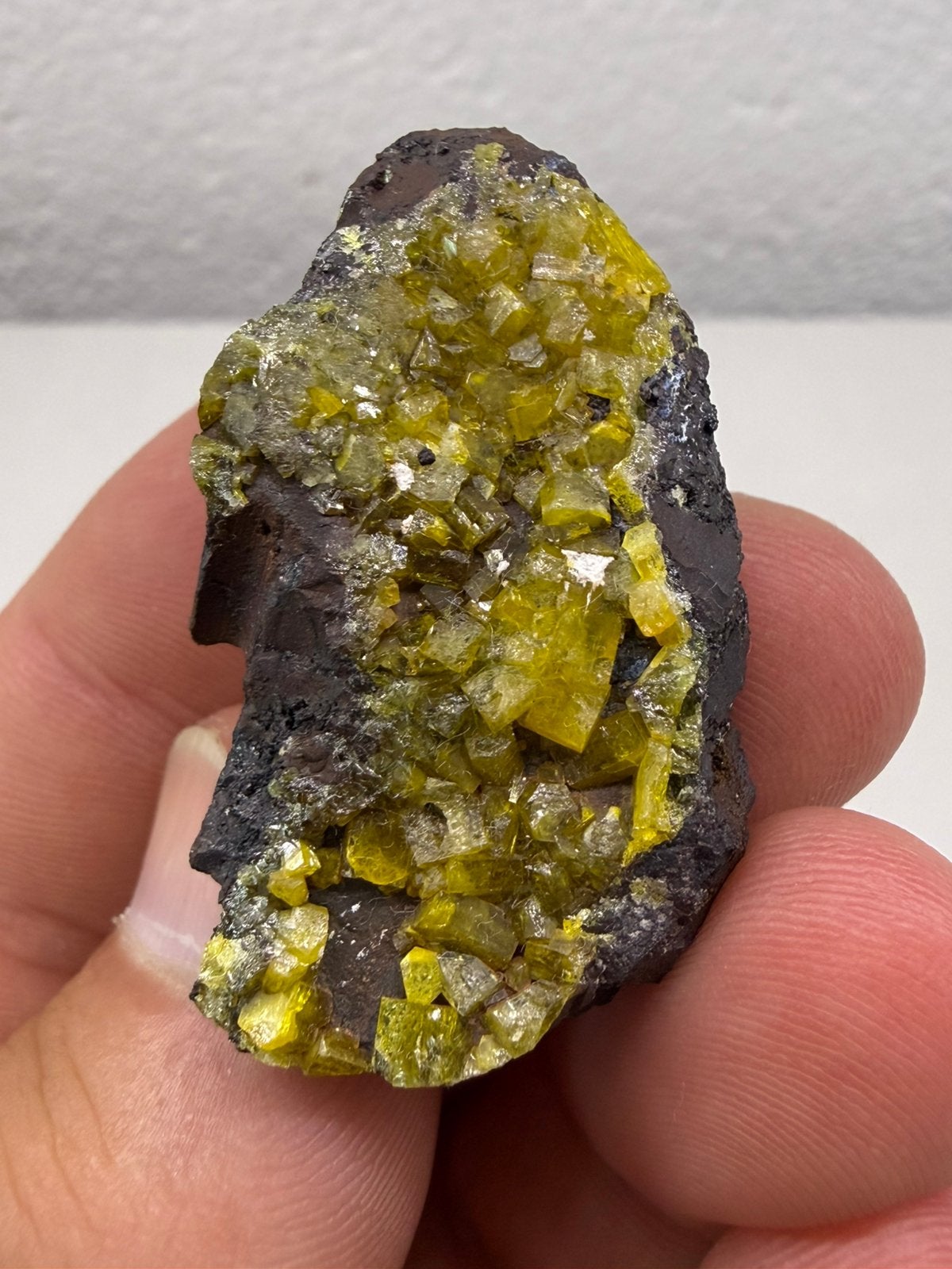 Mimetiet, Verzamelen, Ophalen of Verzenden, Mineraal
