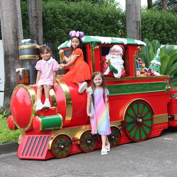 North Pole Express – Locomotive - Santa - Kerstman Trein, Diversen, Kerst, Ophalen, HorecaBeelden, Nieuw, HorecaBeelden