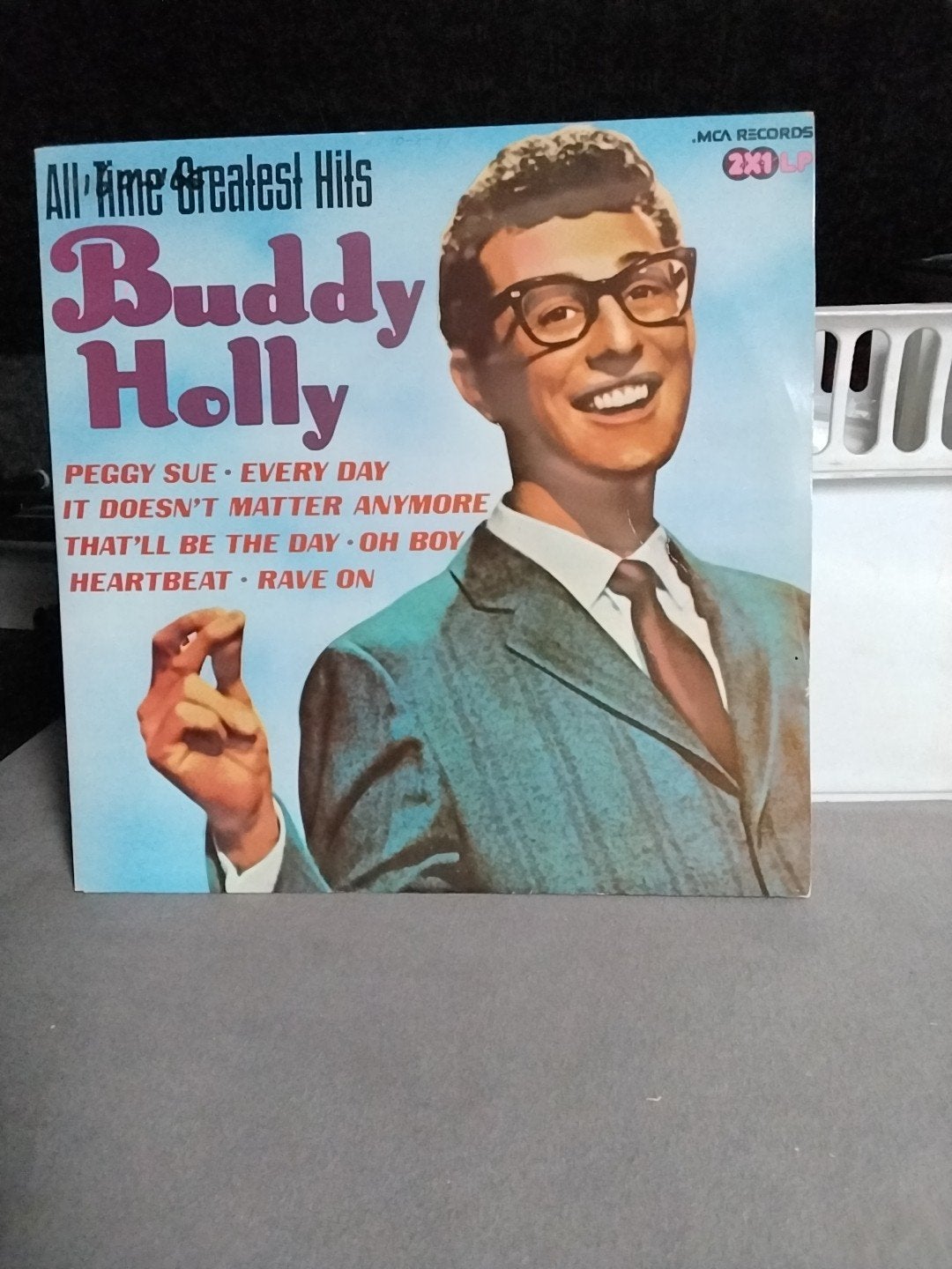 Mooie dubbel lp Buddy Holly, Ophalen of Verzenden, Gebruikt, 12 inch