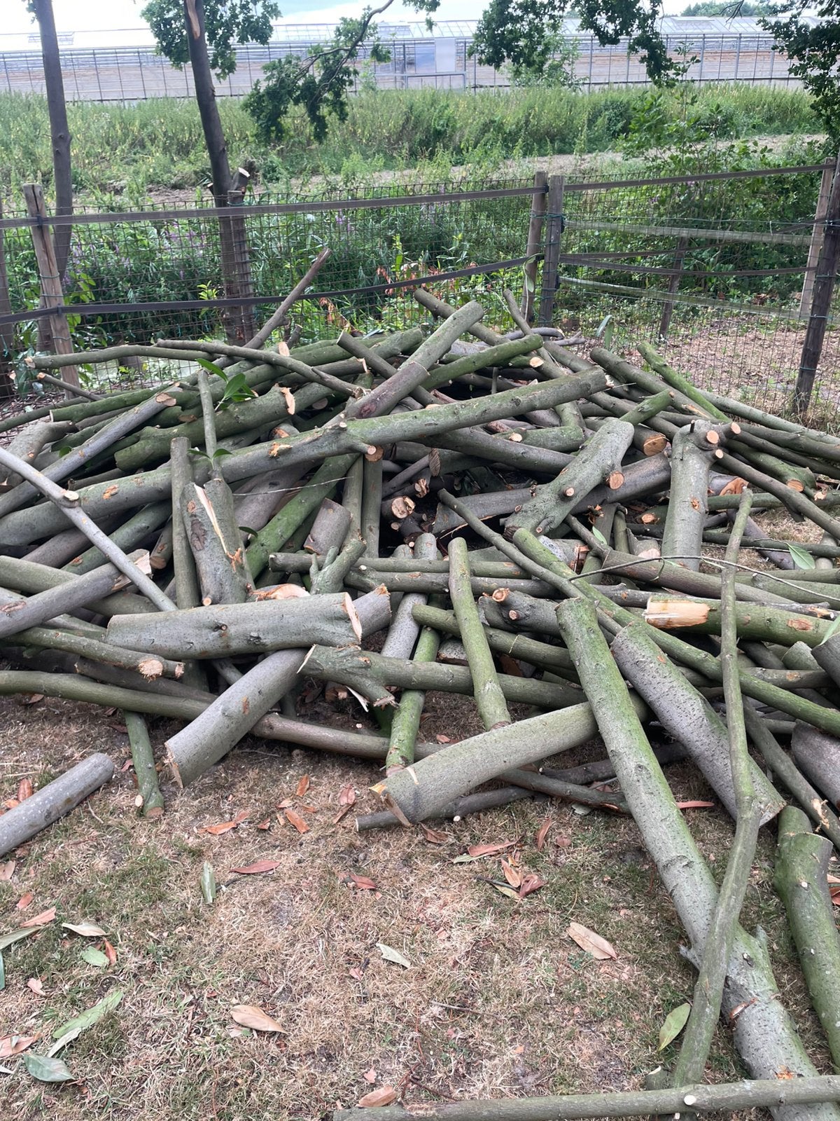 Hout voor openhaard, Tuin en Terras, Haardhout, 3 tot 6 m³, Ophalen