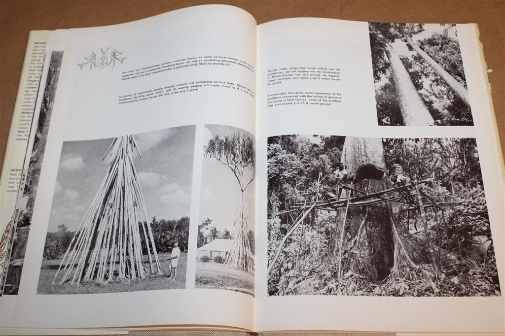 Beeld van Nieuw Guinea — Fotoboek Papoeas en Zending 1962, Boeken, Ophalen of Verzenden, Gelezen