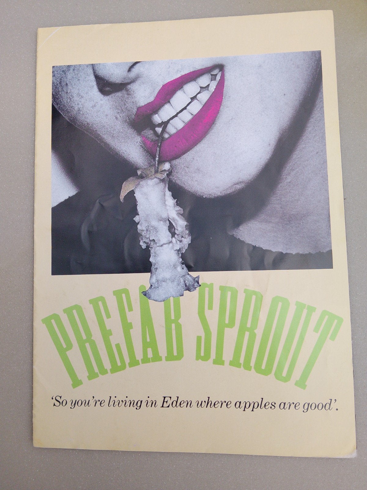 Prefab Sprout - 'So you're living in Eden. Tourbook/poster, Ophalen of Verzenden, A1 t/m A3, Muziek, Rechthoekig Staand