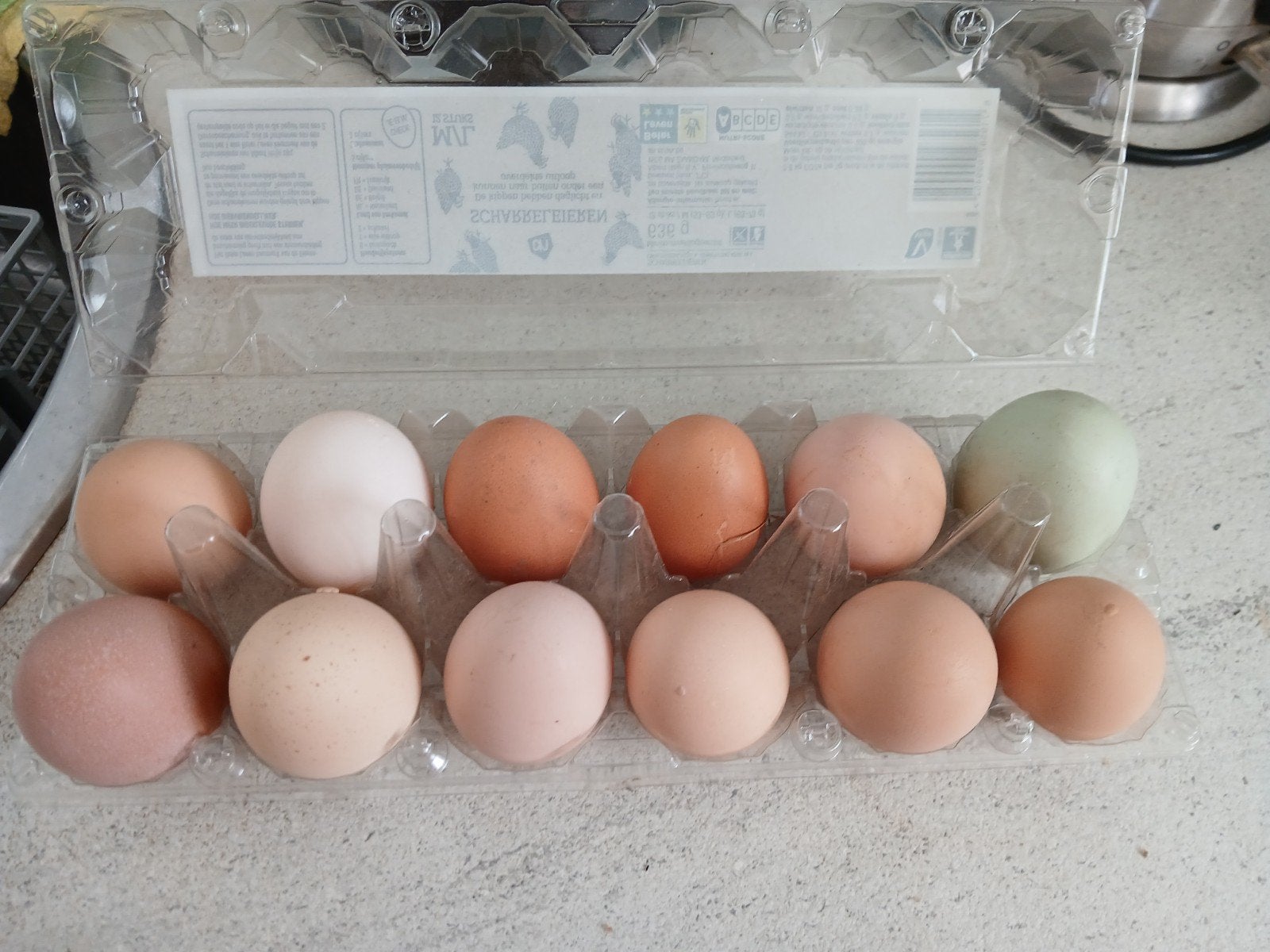 Biologische eieren te koop, Ophalen, Nieuw