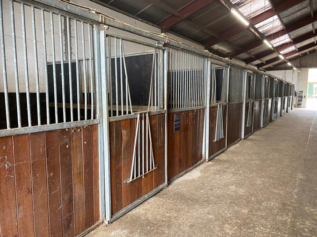 8x voorwand paardenbox, Dieren en Toebehoren, Stalling, 4 paarden of pony's of meer