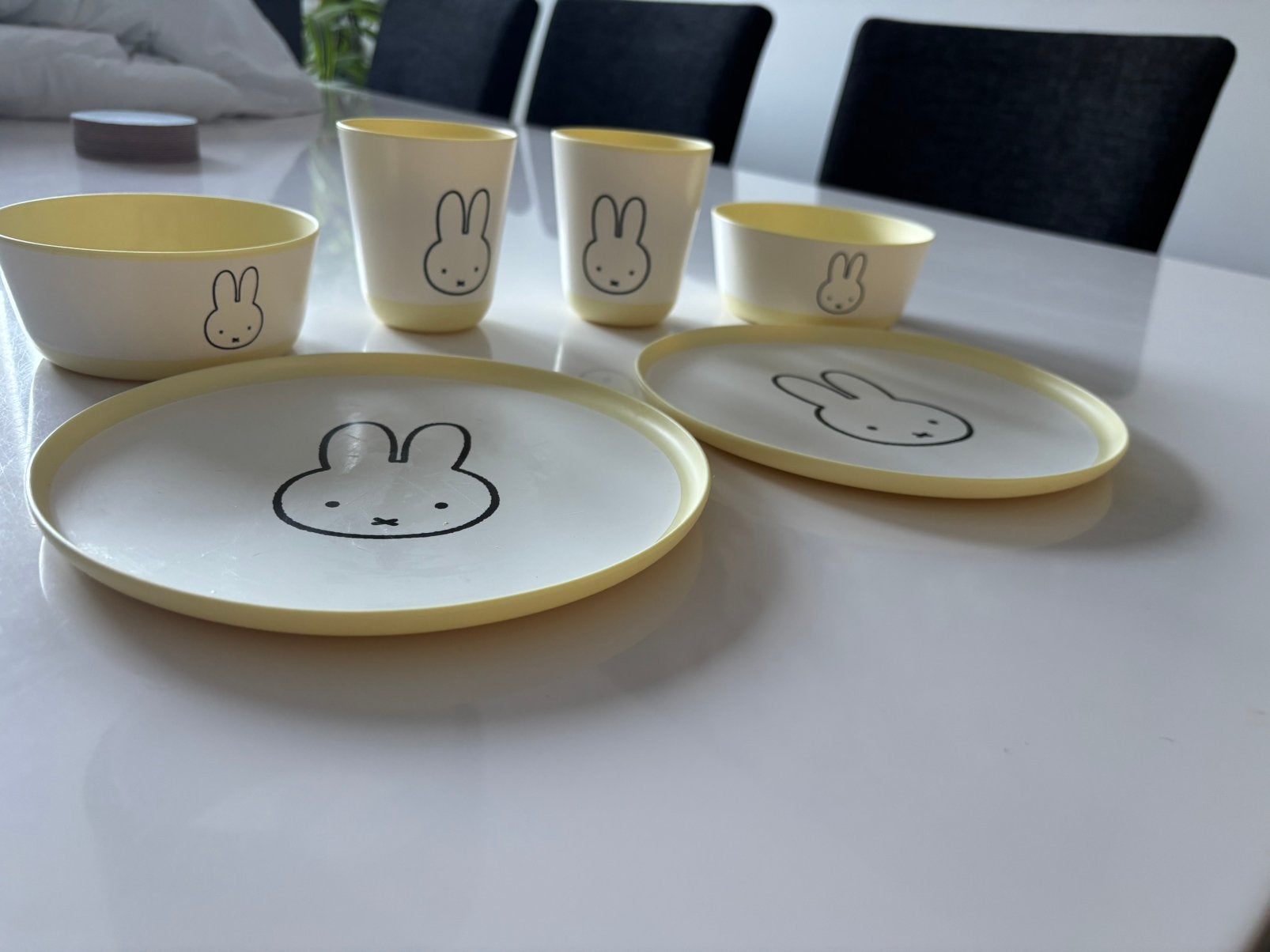 Nijntje kinderservies, Ophalen, Overige materialen, Zo goed als nieuw, Bord(en)