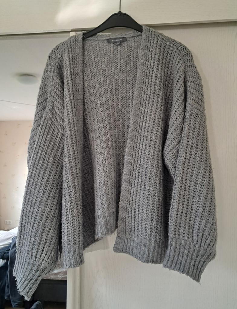 Grof gebreid vest L/XL, Primark, Maat 46/48 (XL) of groter, Ophalen of Verzenden, Grijs
